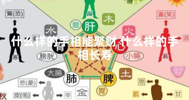 什么样的手相能聚财 什么样的手相长寿